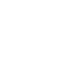 Euro100.png